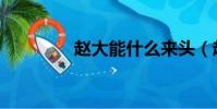 趙大能什么來頭(趙大能)