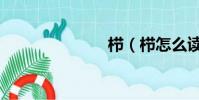 櫛(櫛怎么讀)