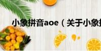 小象拼音aoe(關于小象拼音aoe簡介)
