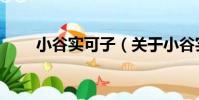 小谷實可子(關于小谷實可子簡介)