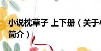 小說枕草子 上下冊(關于小說枕草子 上下冊簡介)