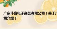 廣東斗奇電子商務有限公司(關于廣東斗奇電子商務有限公司介紹)