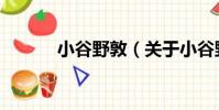 小谷野敦(關于小谷野敦簡介)