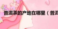 普洱茶的產地在哪里(普洱茶的產地在哪)