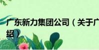 廣東新力集團公司(關于廣東新力集團公司介紹)