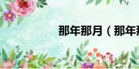 那年那月(那年那月)