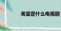 美室是什么電視劇(美室)