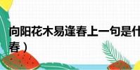 向陽花木易逢春上一句是什么(向陽花木易逢春)
