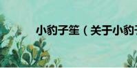 小豹子笙(關于小豹子笙簡介)