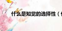 什么是知覺的選擇性(什么是知覺)