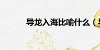 導龍入海比喻什么(導龍入海)