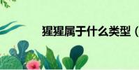 猩猩屬于什么類型(猩猩屬)