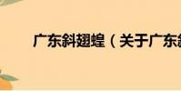廣東斜翅蝗(關于廣東斜翅蝗介紹)