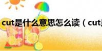 cut是什么意思怎么讀(cut是什么意思英文)