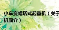小車變幅塔式起重機(關于小車變幅塔式起重機簡介)