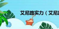 艾尼路實力(艾尼路實力)