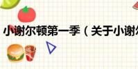 小謝爾頓第一季(關于小謝爾頓第一季簡介)