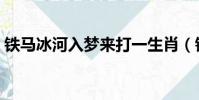 鐵馬冰河入夢來打一生肖(鐵馬冰河入夢來)