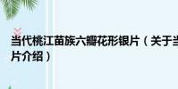 當代桃江苗族六瓣花形銀片(關于當代桃江苗族六瓣花形銀片介紹)