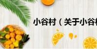 小谷村(關于小谷村簡介)