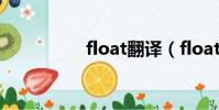 float翻譯(float精度)
