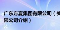 廣東方夏集團有限公司(關于廣東方夏集團有限公司介紹)