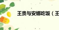 王貴與安娜吃飯(王貴 岳飛)
