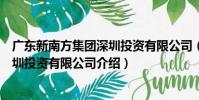 廣東新南方集團深圳投資有限公司(關于廣東新南方集團深圳投資有限公司介紹)