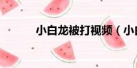 小白龍被打視頻(小白龍被打)