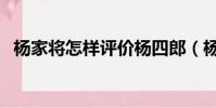 楊家將怎樣評價楊四郎(楊家將怎么死的)
