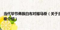 當代畢節彝族白布對襟馬褂(關于當代畢節彝族白布對襟馬褂介紹)