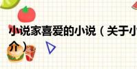 小說家喜愛的小說(關于小說家喜愛的小說簡介)