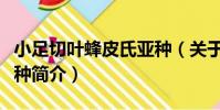 小足切葉蜂皮氏亞種(關于小足切葉蜂皮氏亞種簡介)