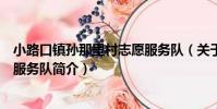 小路口鎮孫那里村志愿服務隊(關于小路口鎮孫那里村志愿服務隊簡介)