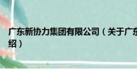 廣東新協力集團有限公司(關于廣東新協力集團有限公司介紹)