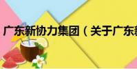 廣東新協力集團(關于廣東新協力集團介紹)