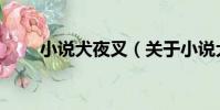 小說犬夜叉(關于小說犬夜叉簡介)