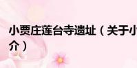 小賈莊蓮臺寺遺址(關于小賈莊蓮臺寺遺址簡介)