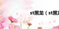 st黑龍(st黑龍)