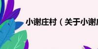 小謝莊村(關于小謝莊村簡介)