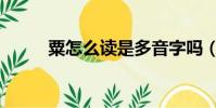 粟怎么讀是多音字嗎(粟怎么讀)
