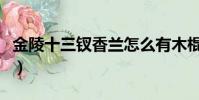 金陵十三釵香蘭怎么有木棍(金陵十三釵香蘭)