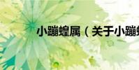 小蹦蝗屬(關于小蹦蝗屬簡介)