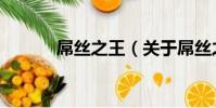 屌絲之王(關于屌絲之王簡介)