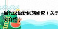 當代漢語新詞族研究(關于當代漢語新詞族研究介紹)