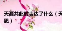 天涯共此時表達了什么(天涯共此時表達的意思)