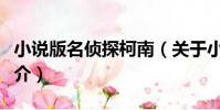 小說版名偵探柯南(關于小說版名偵探柯南簡介)
