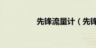 先鋒流量計(先鋒流量)