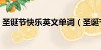 圣誕節快樂英文單詞(圣誕節快樂英文翻譯)