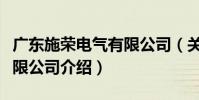 廣東施榮電氣有限公司(關于廣東施榮電氣有限公司介紹)